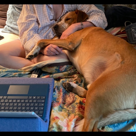 Meet your Posher, Cindy - Picture 6 of 7